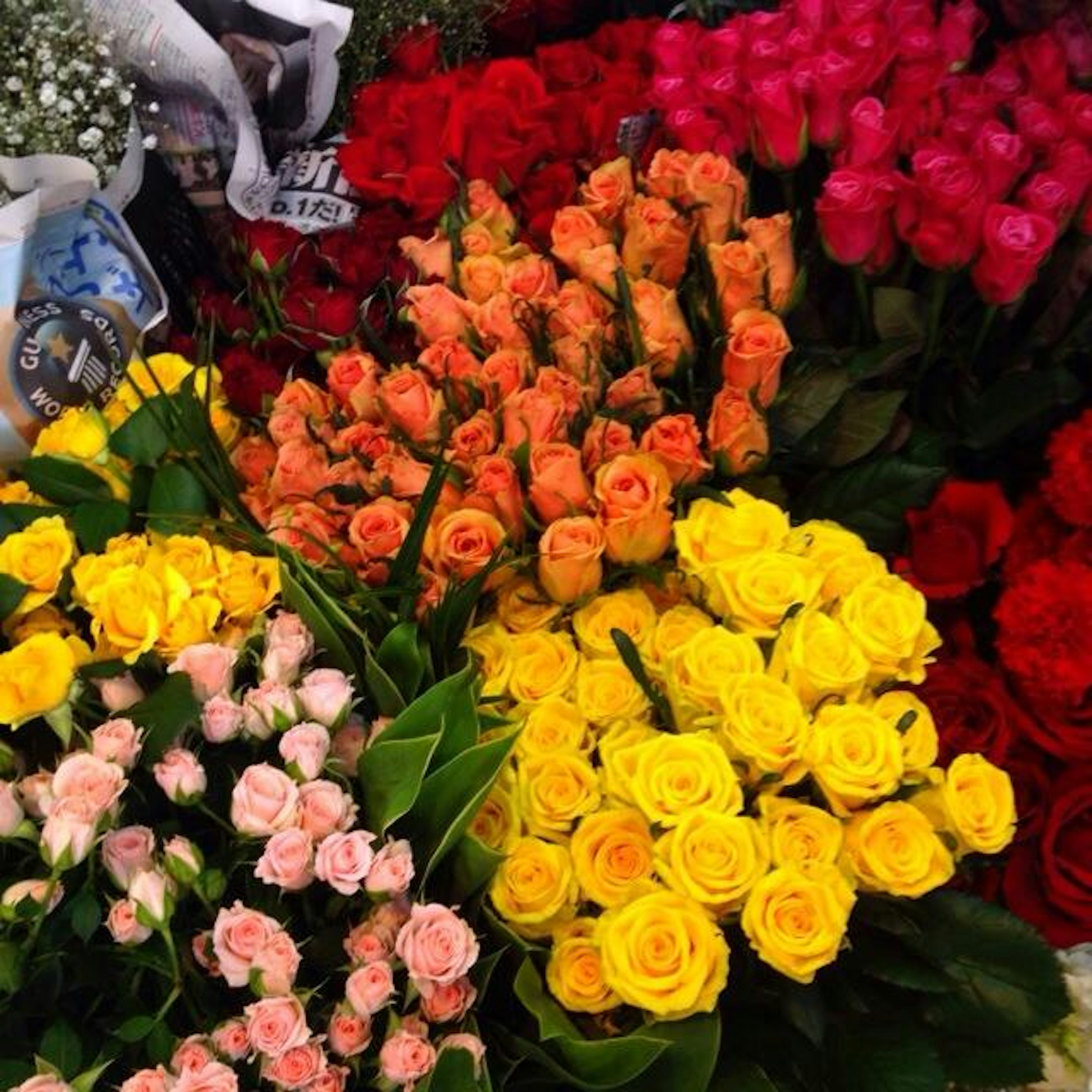色とりどりのバラが並ぶ花屋で心癒されるひととき