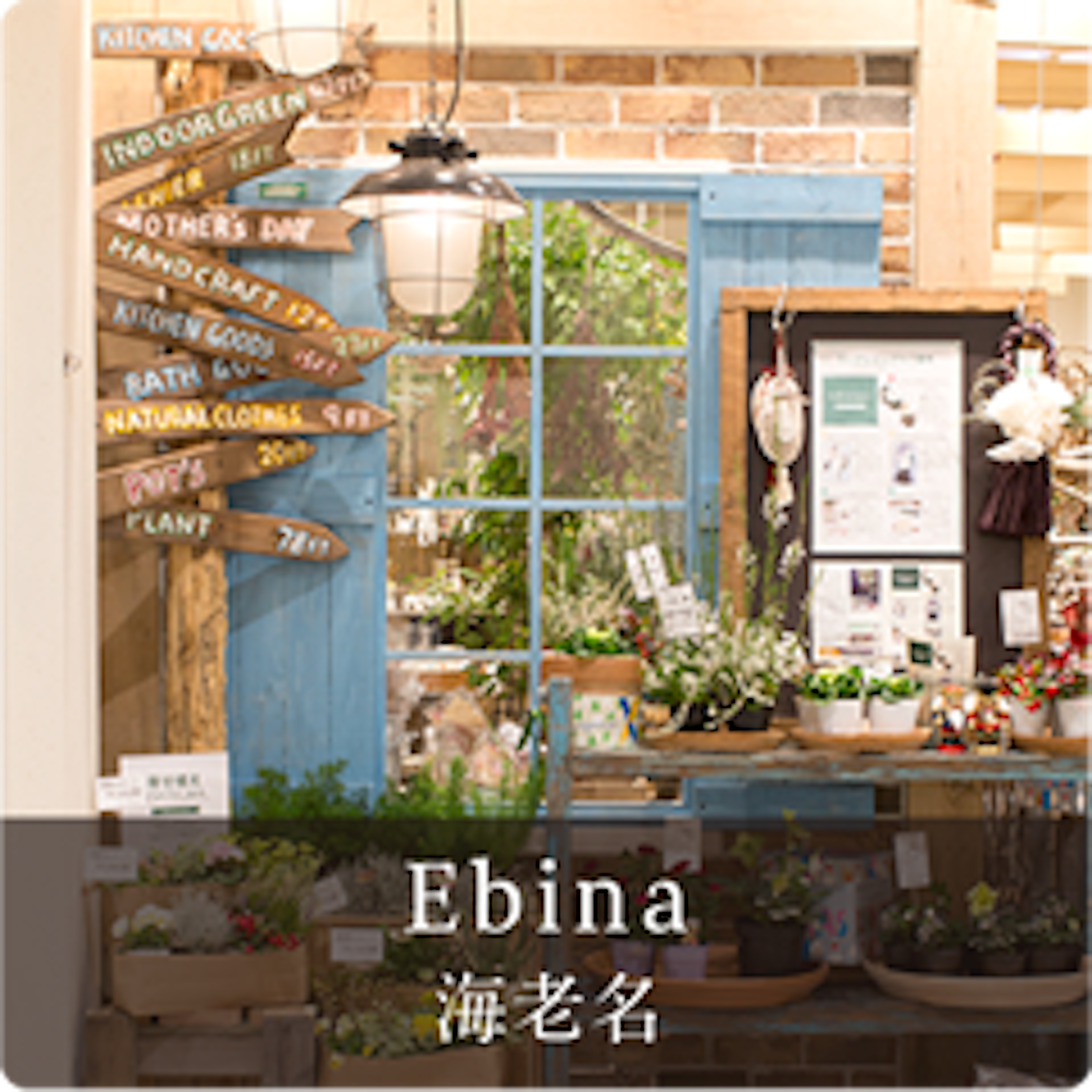 海老名の花屋で素敵なフラワーギフトを見つけよう