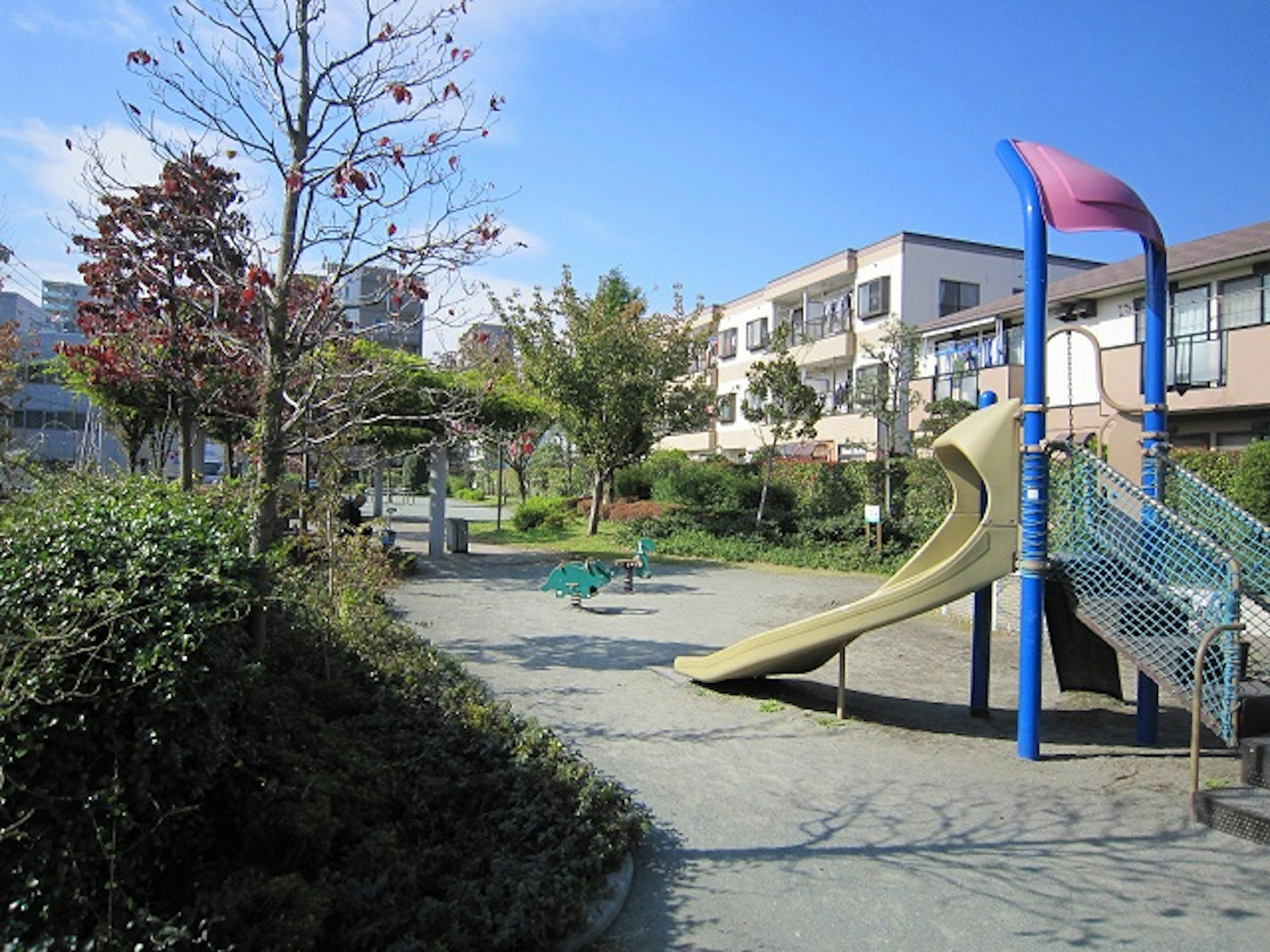 家族で楽しめる、緑豊かな公園で遊ぶひととき