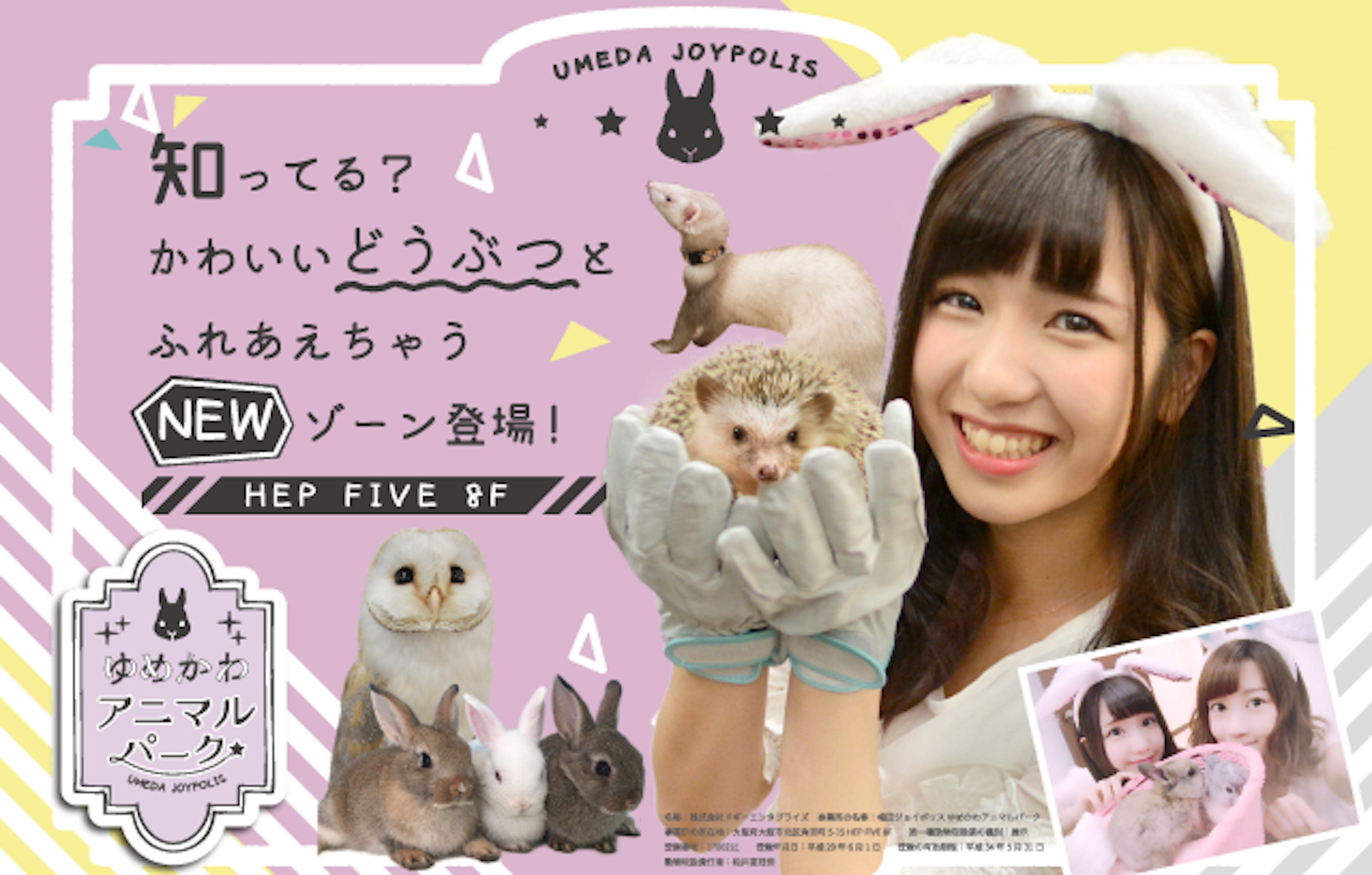 動物カフェでかわいい動物たちと癒しのひとときを