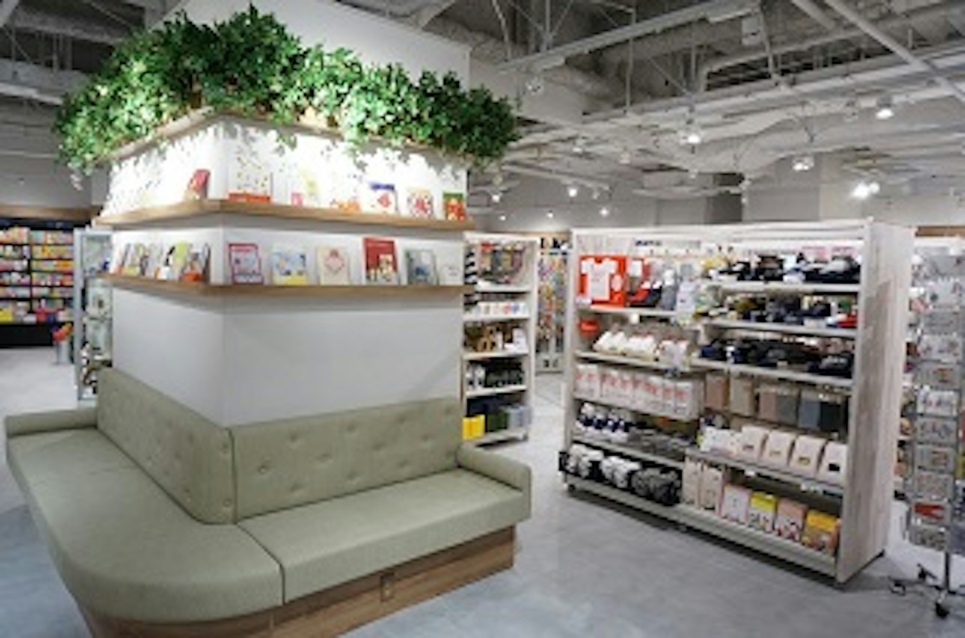 おしゃれな本屋でリラックスしながら本を選べる空間