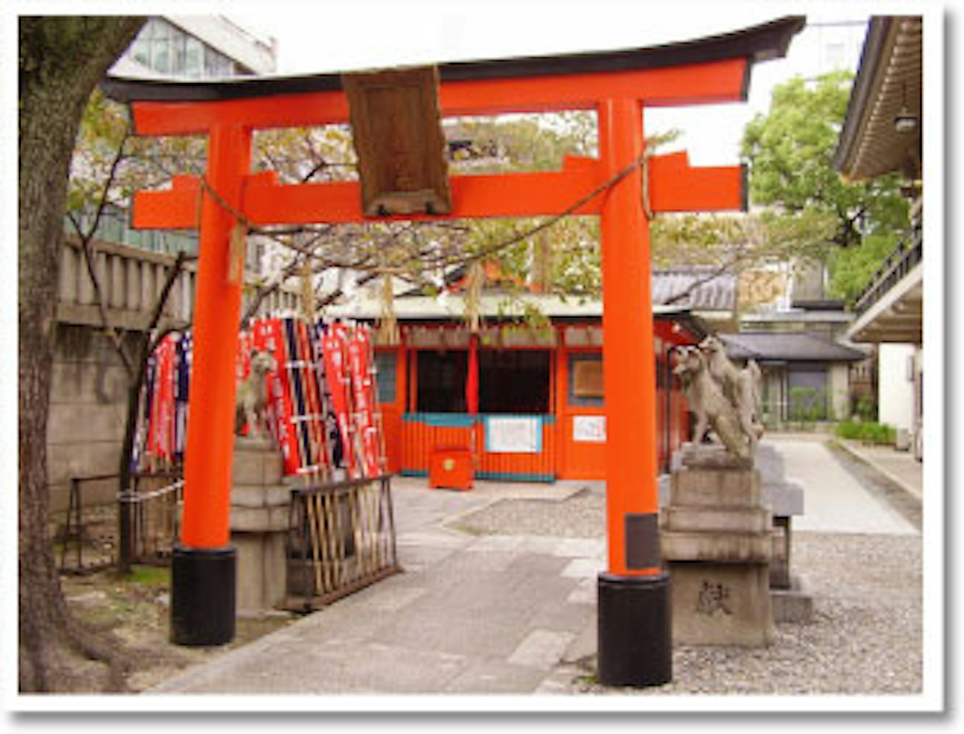 心が癒されるパワースポットの神社に行ってきました