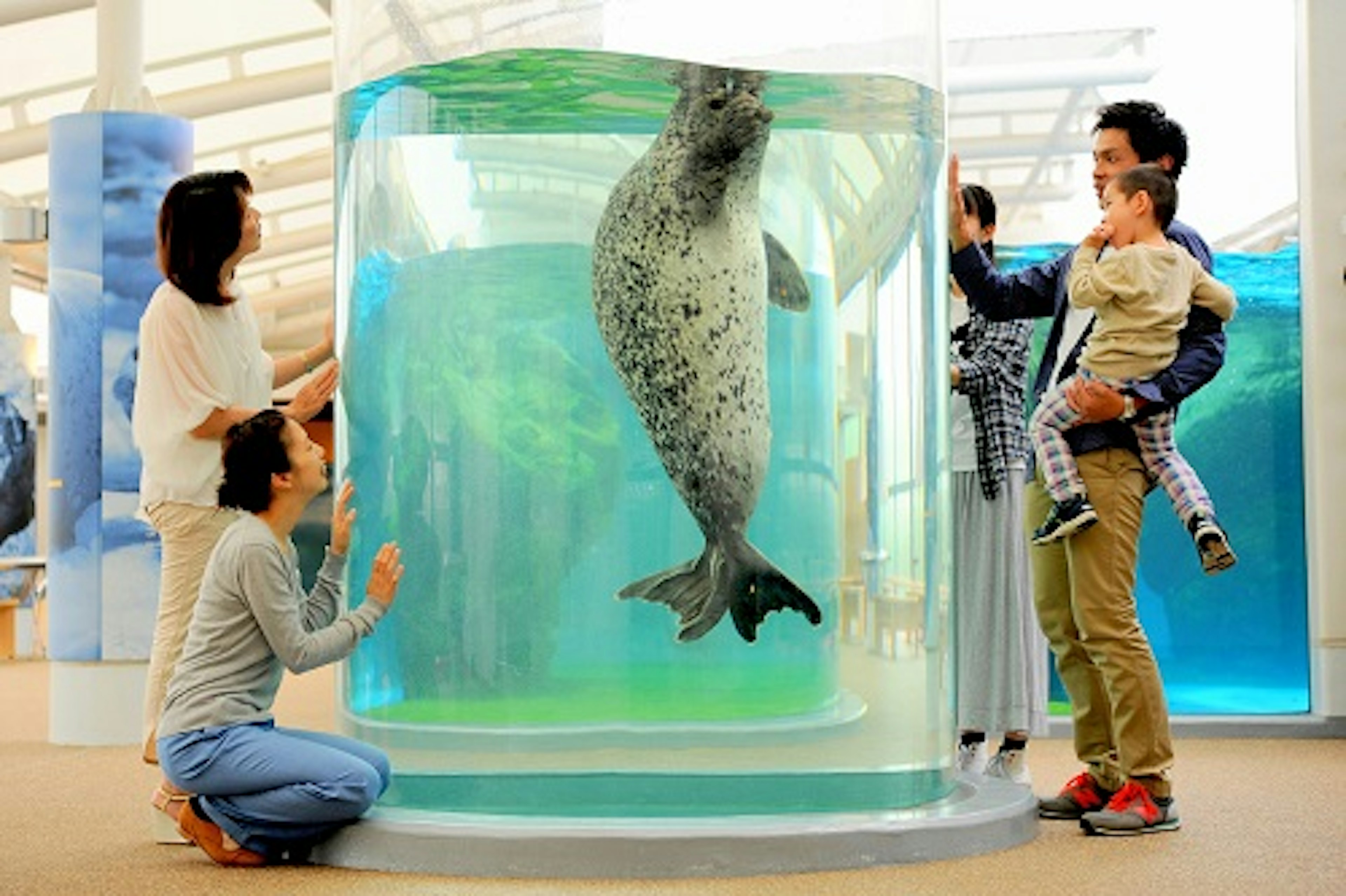 家族で楽しめる水族館で遊ぶひととき