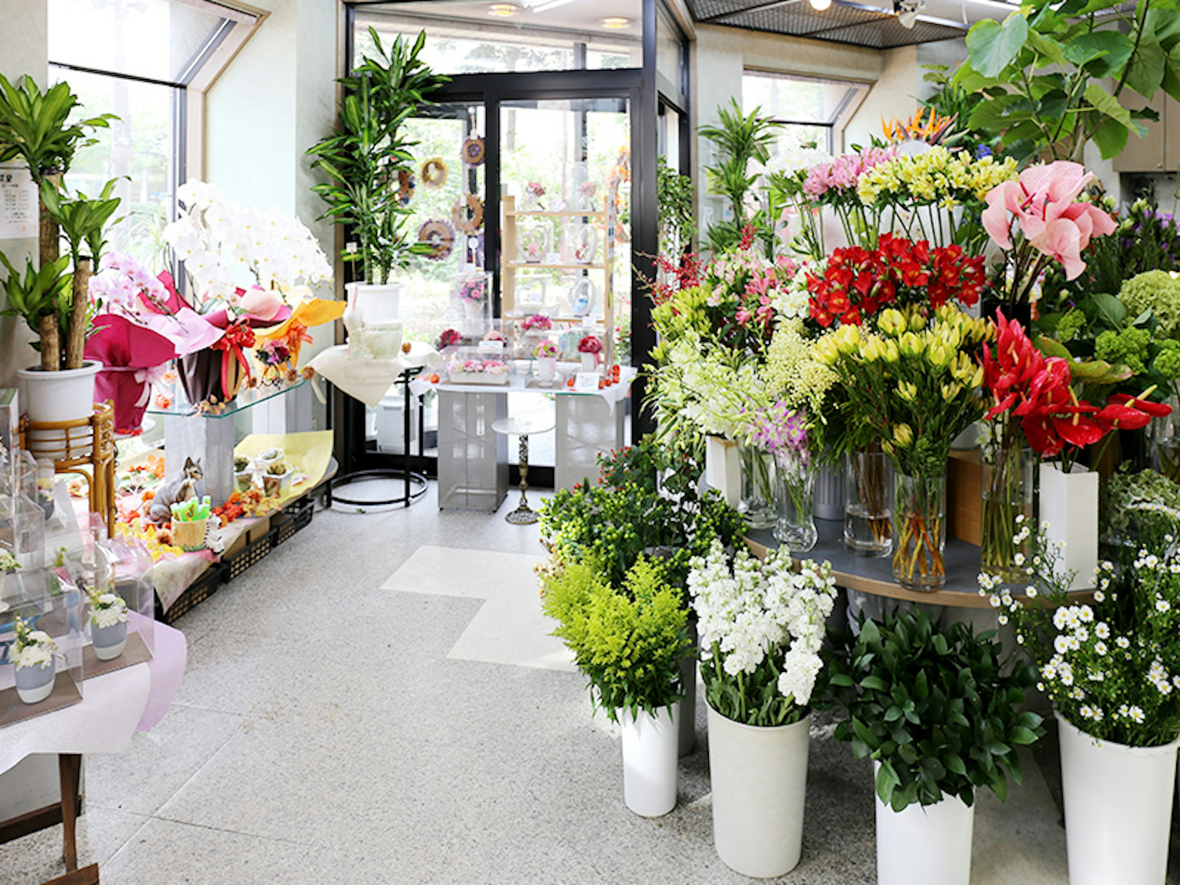 色とりどりの花が並ぶ、癒しの空間の花屋