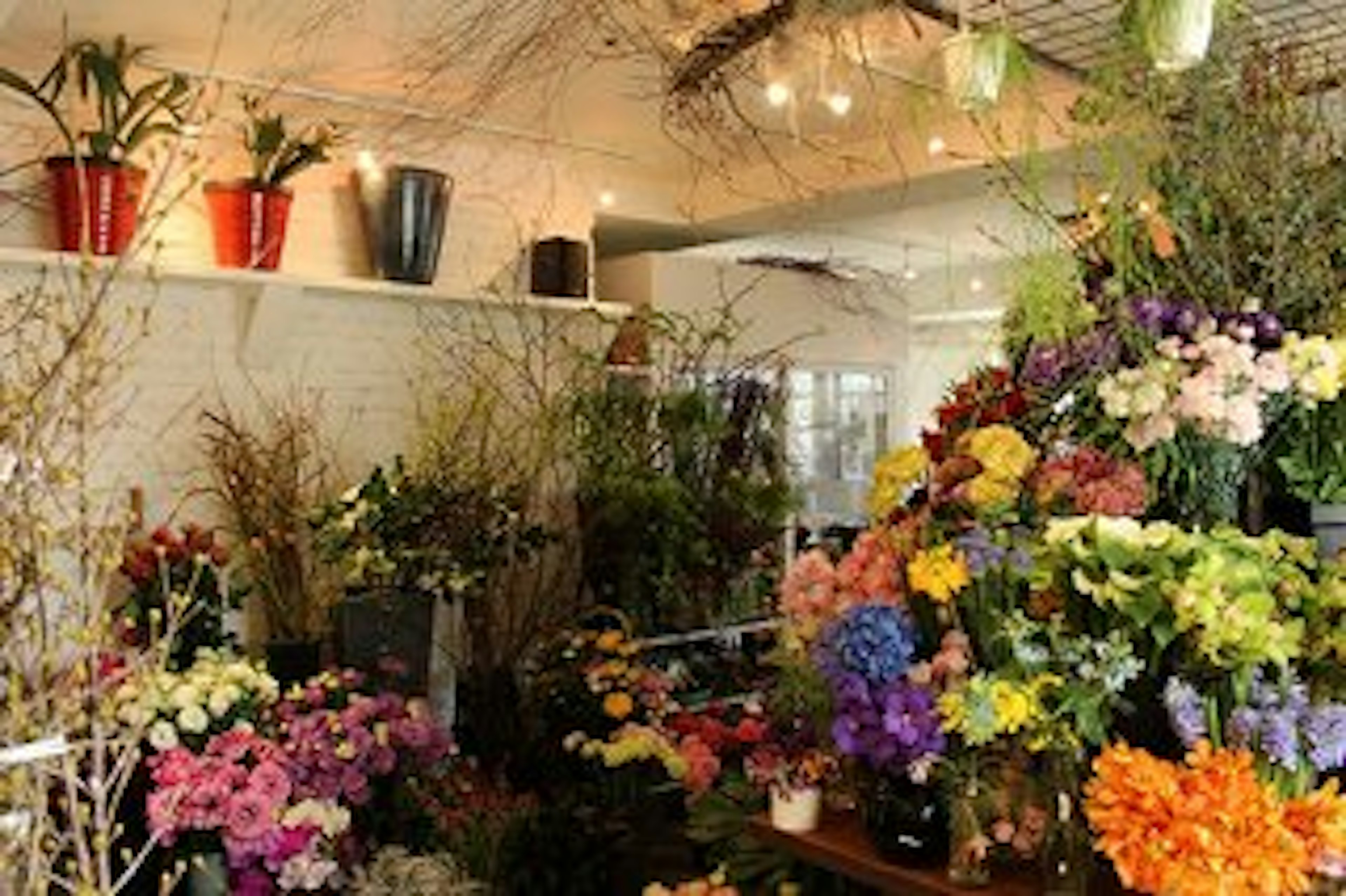色とりどりの花が並ぶ、心温まる花屋の店内