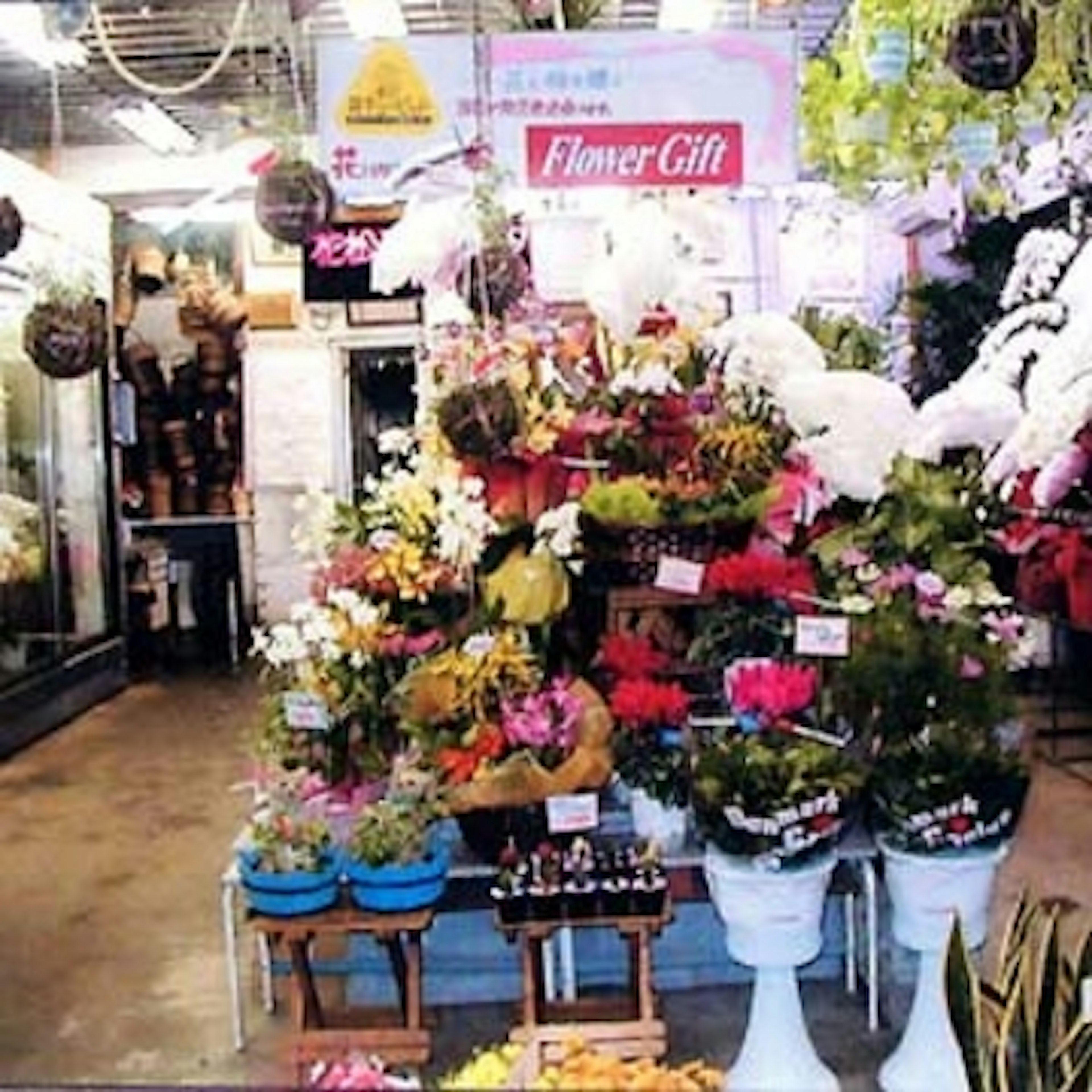 色とりどりの花が並ぶ、心温まる花屋の店内