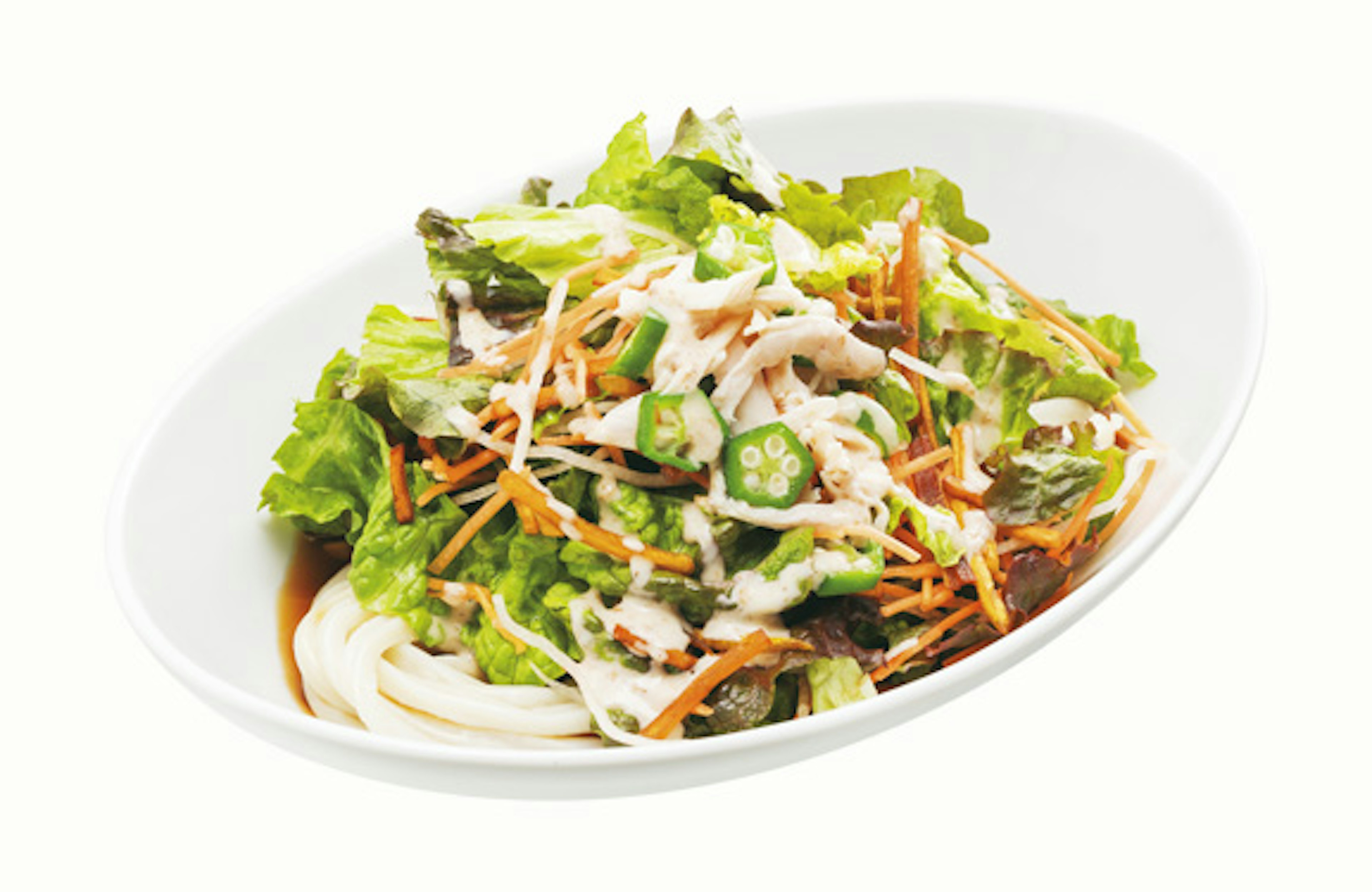 新鮮野菜とさっぱりドレッシングのヘルシーサラダ