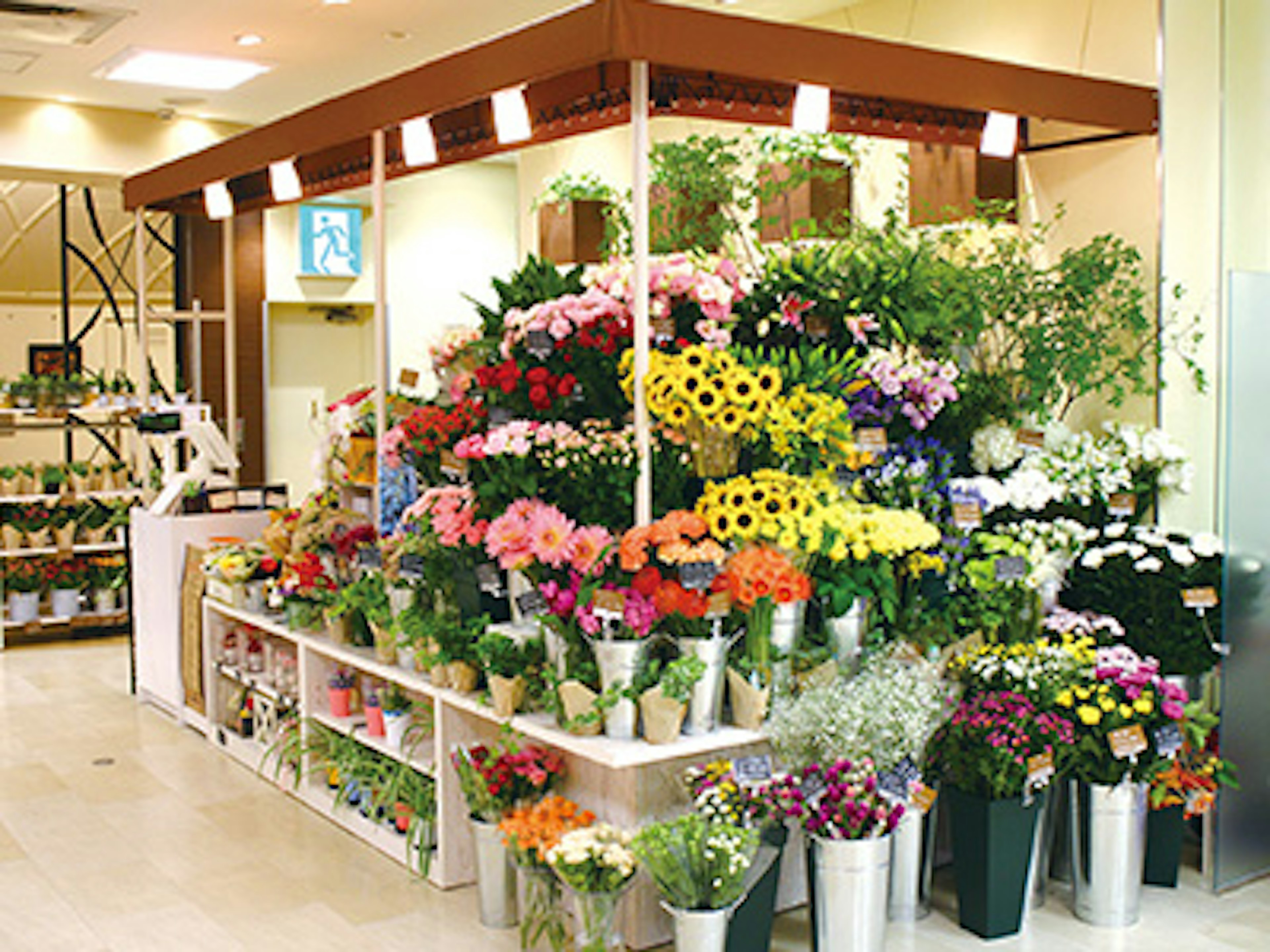 色とりどりの花が揃う、癒しの空間の花屋