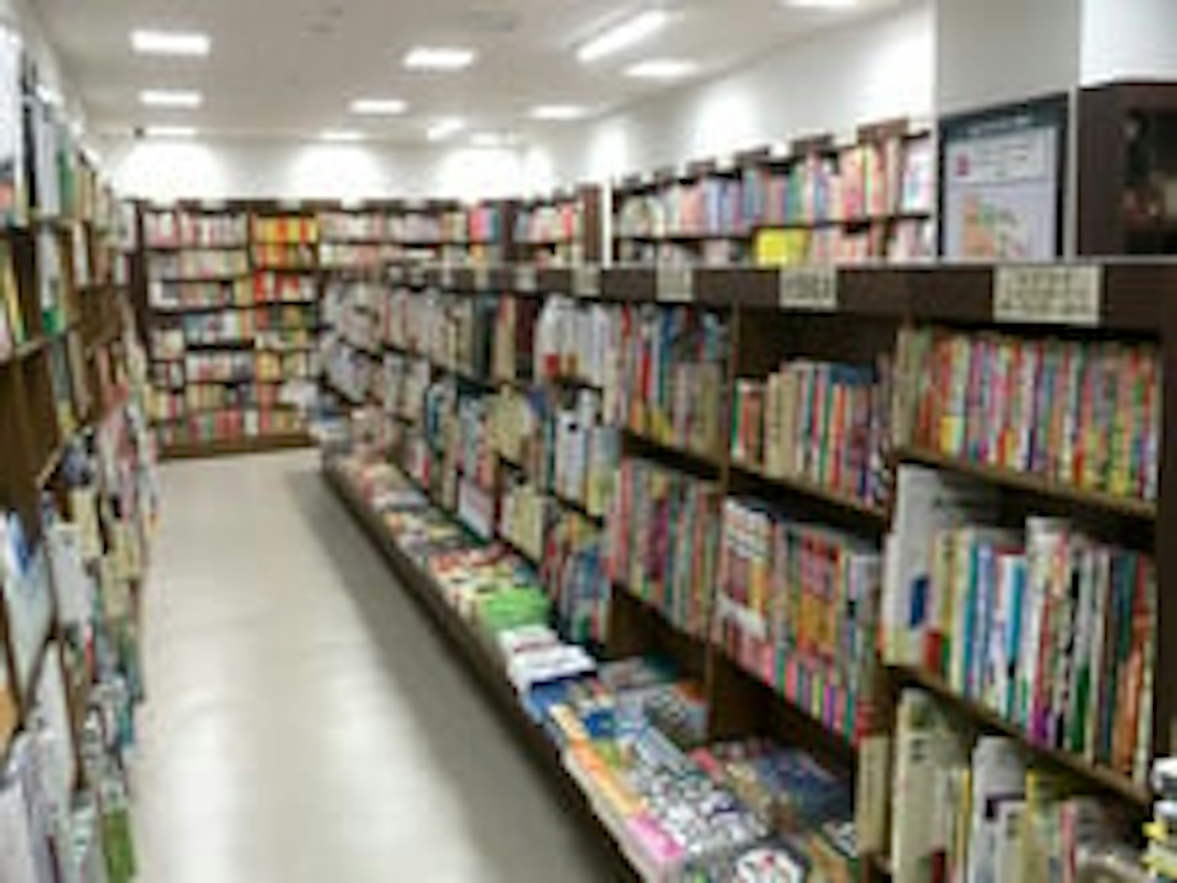 広々とした本屋で、豊富なジャンルの本が揃っています。