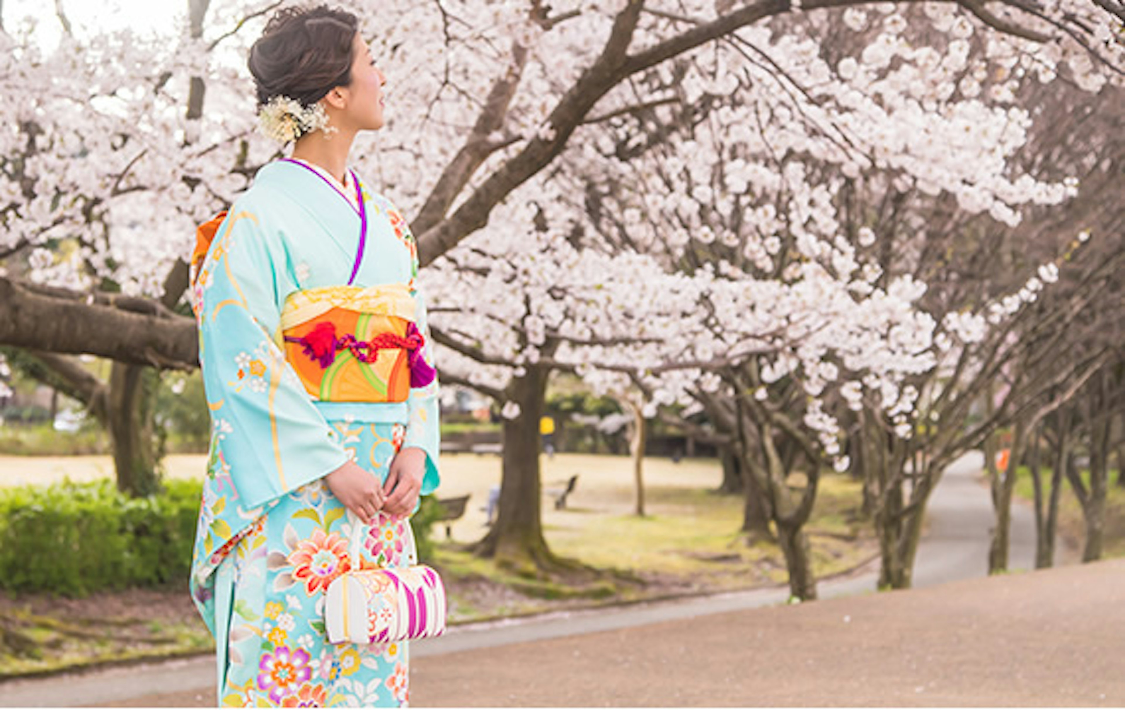 桜の下で着物姿の女性が春の美しさを楽しむ