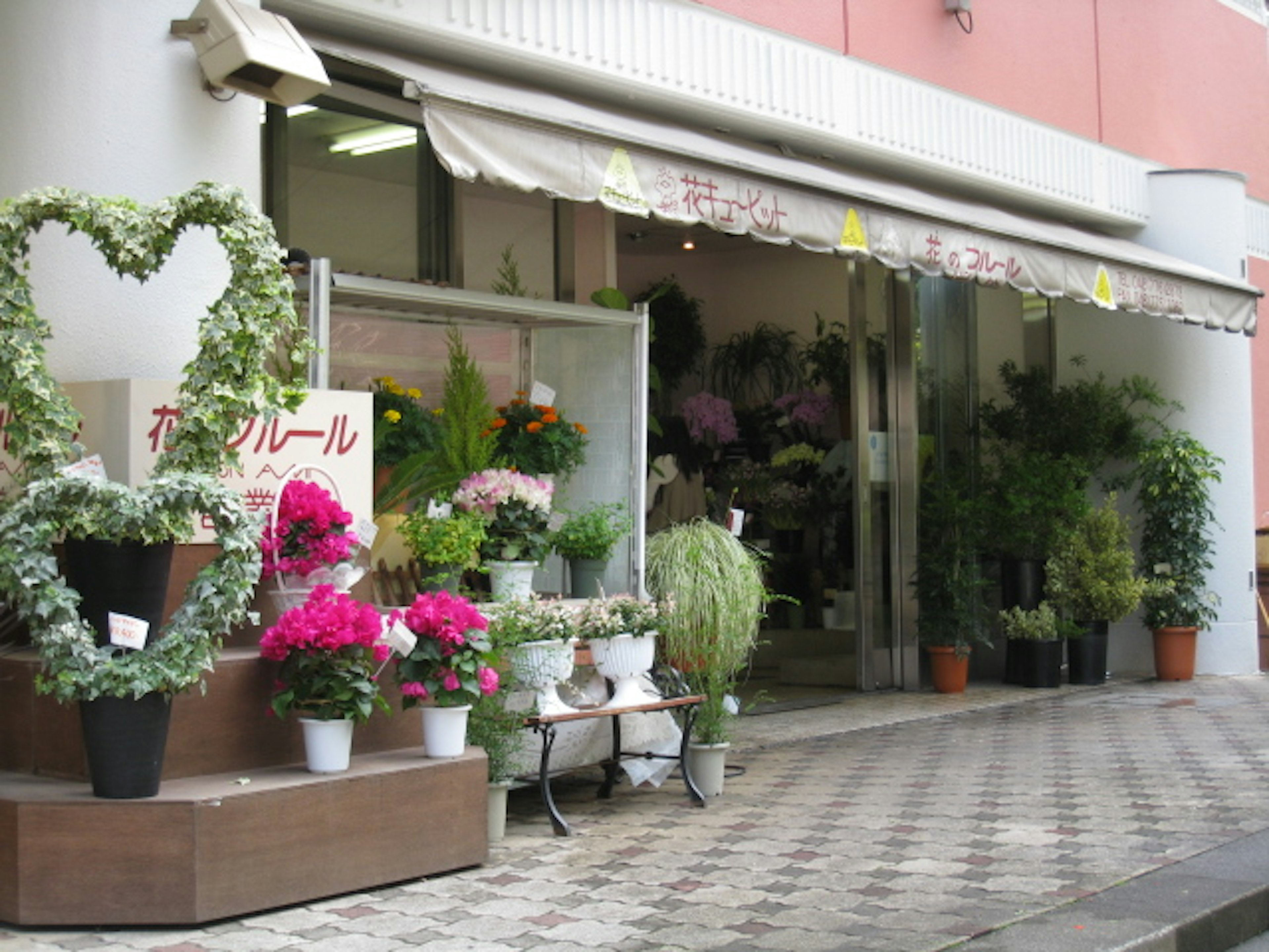 色とりどりの花が並ぶ、心温まる街角の花屋