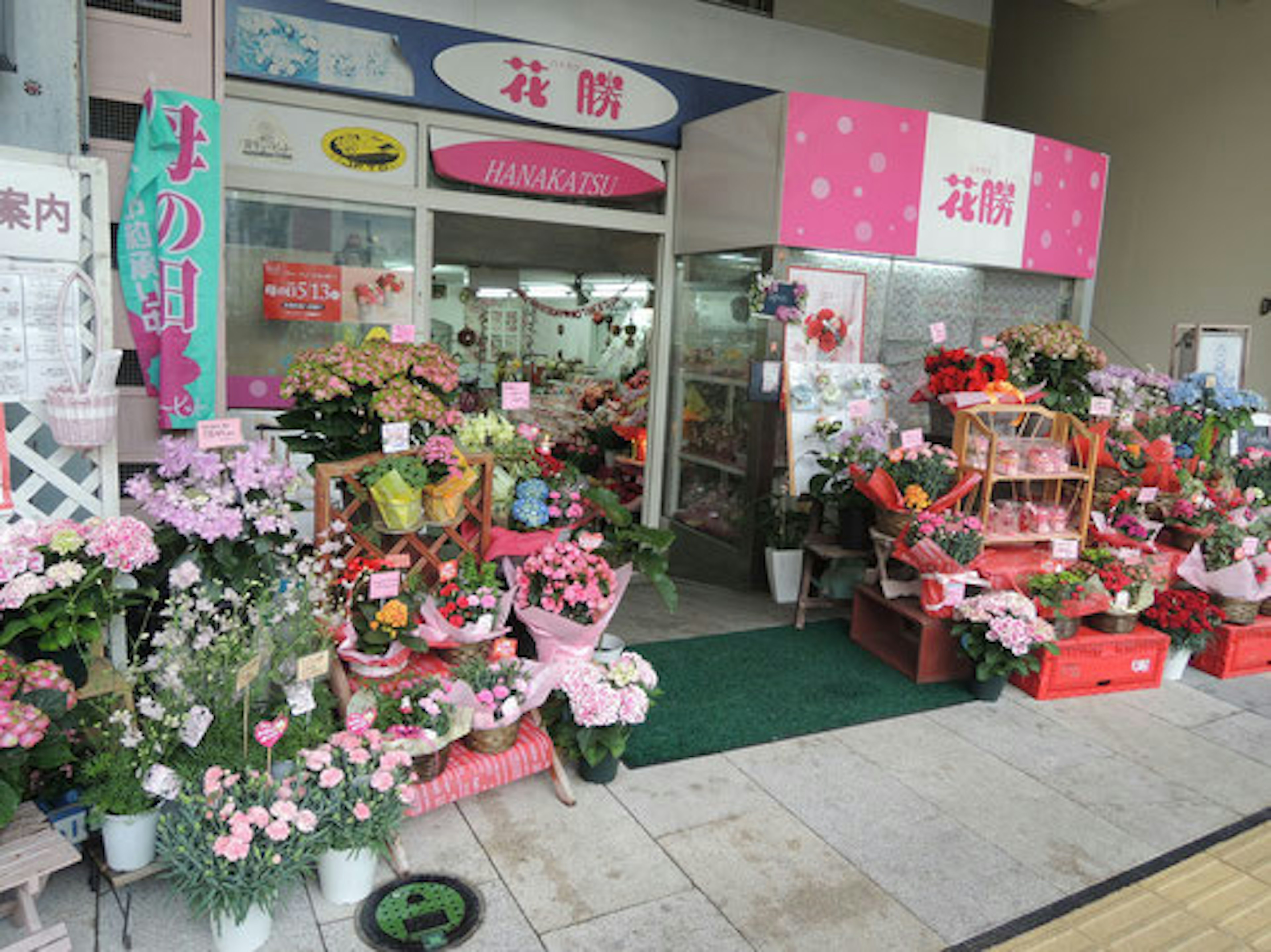 色とりどりの花が並ぶ、心温まる花屋の外観