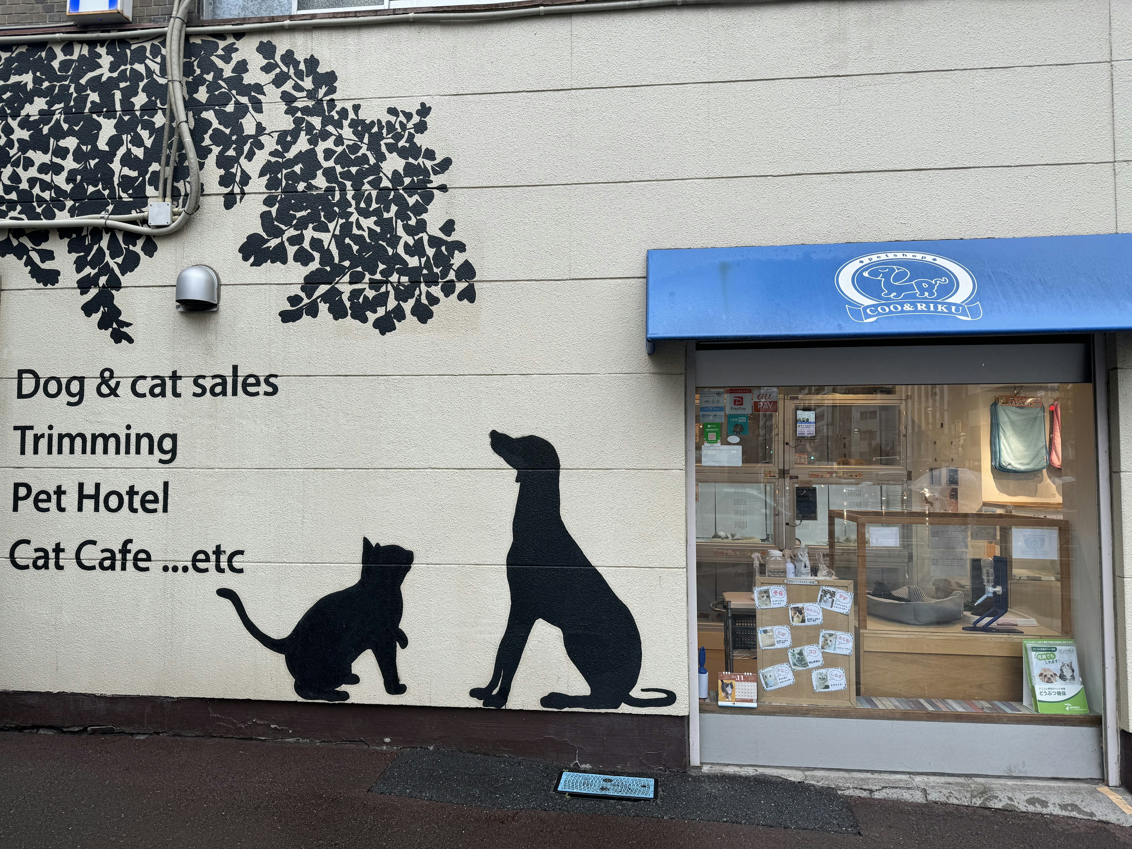 ペットショップCoo&RIKUの店舗の外
