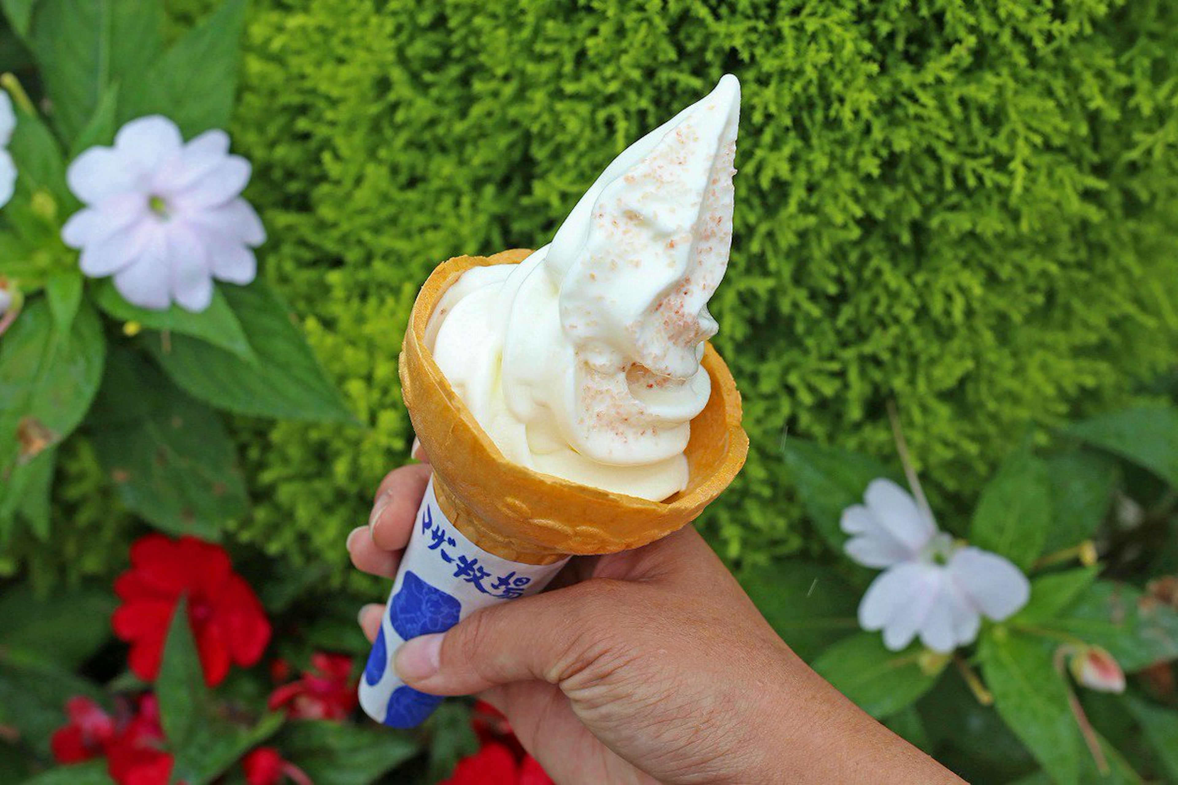 新鮮なミルクを使った濃厚なソフトクリーム