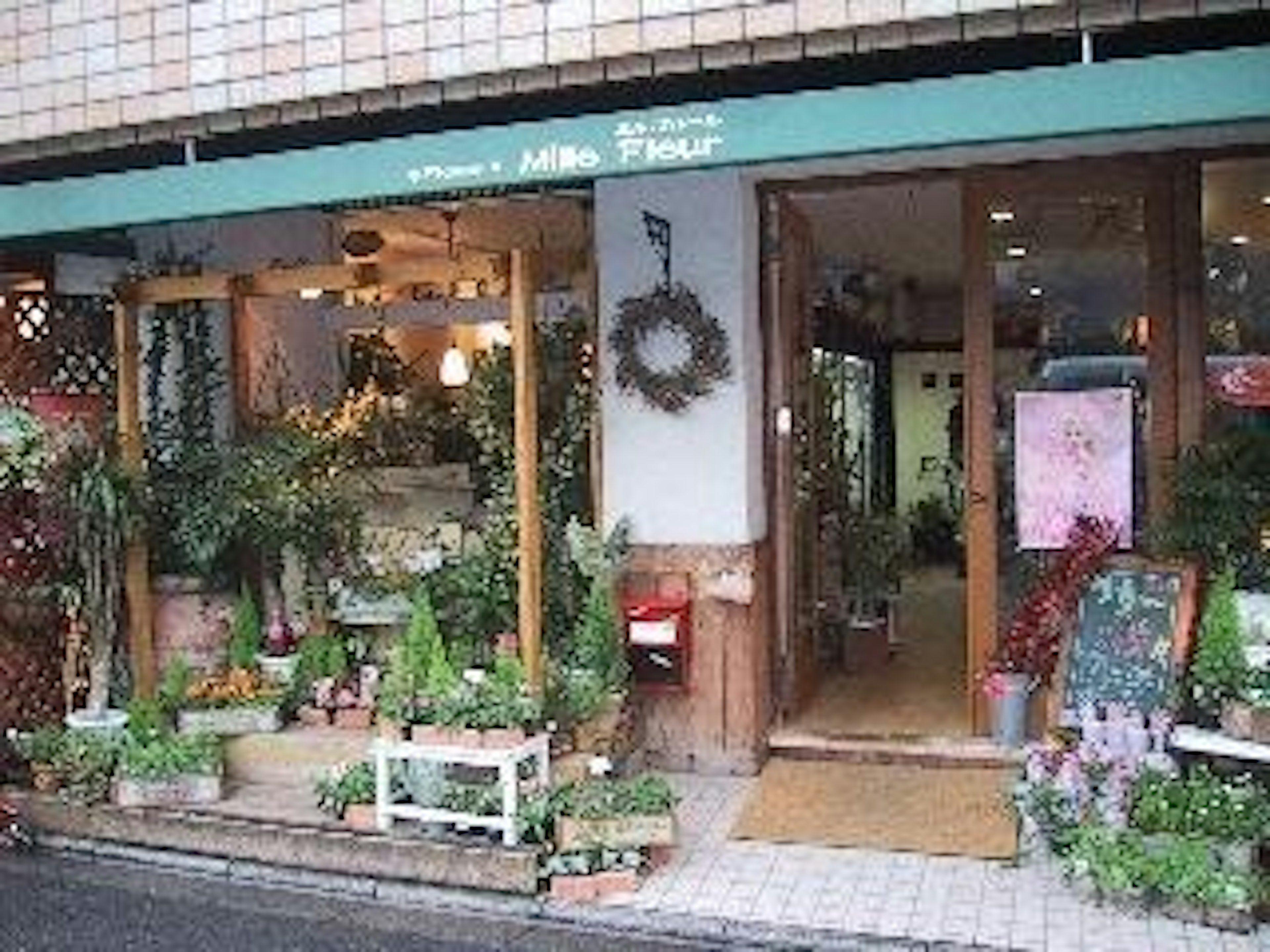 心温まる花々が揃う、癒しの花屋さん