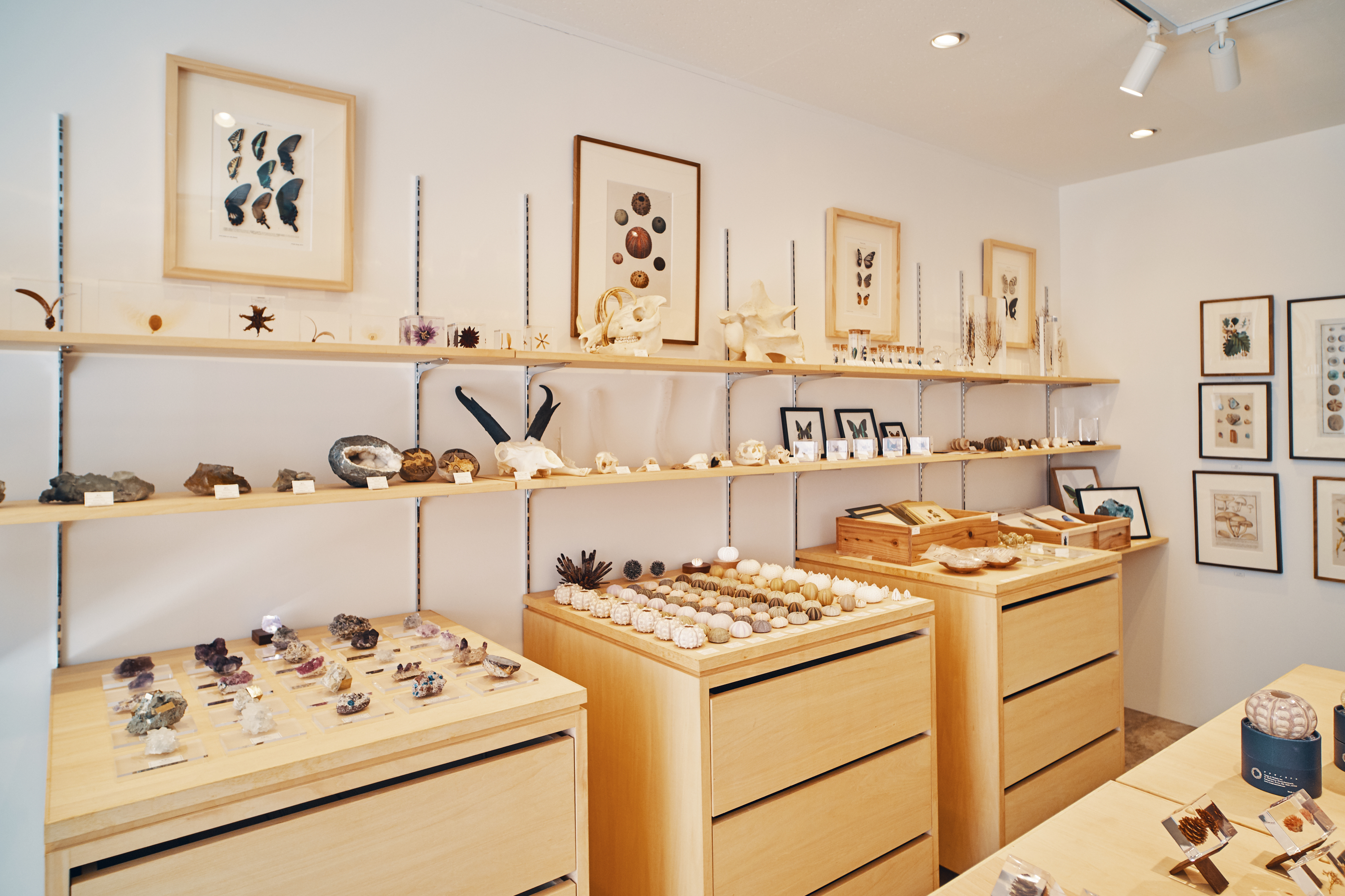 雑貨好きが愛してやまない 都内のおしゃれな雑貨屋巡り Editor S Pick 編集部厳選アイテム Pathee Epic