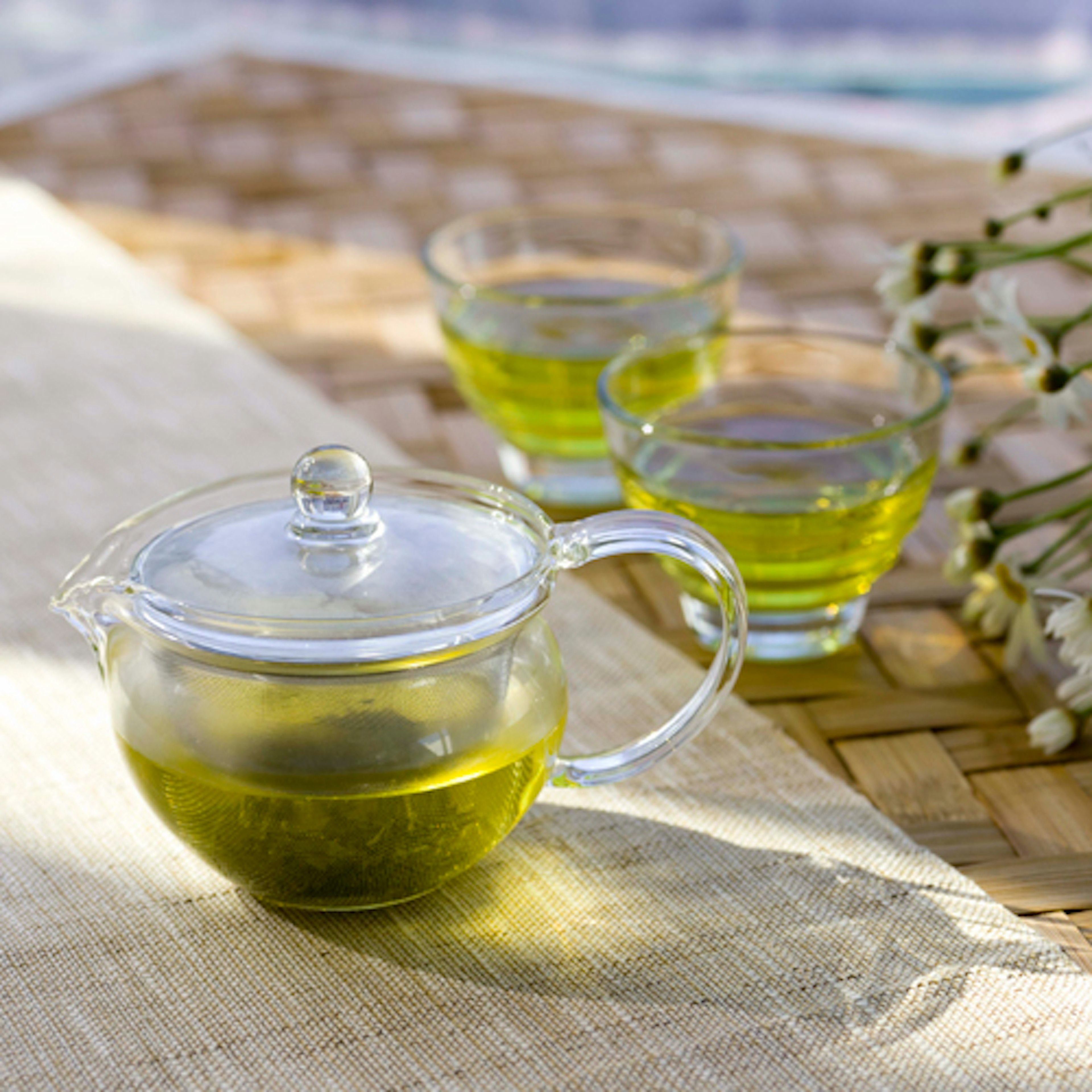 透明な茶器で楽しむ新鮮な緑茶のひととき