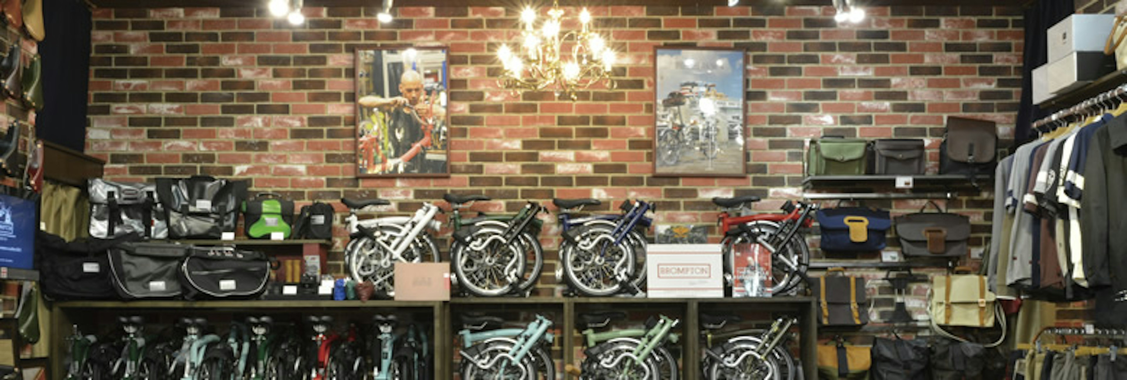 おしゃれな自転車専門店で高品質な自転車を発見