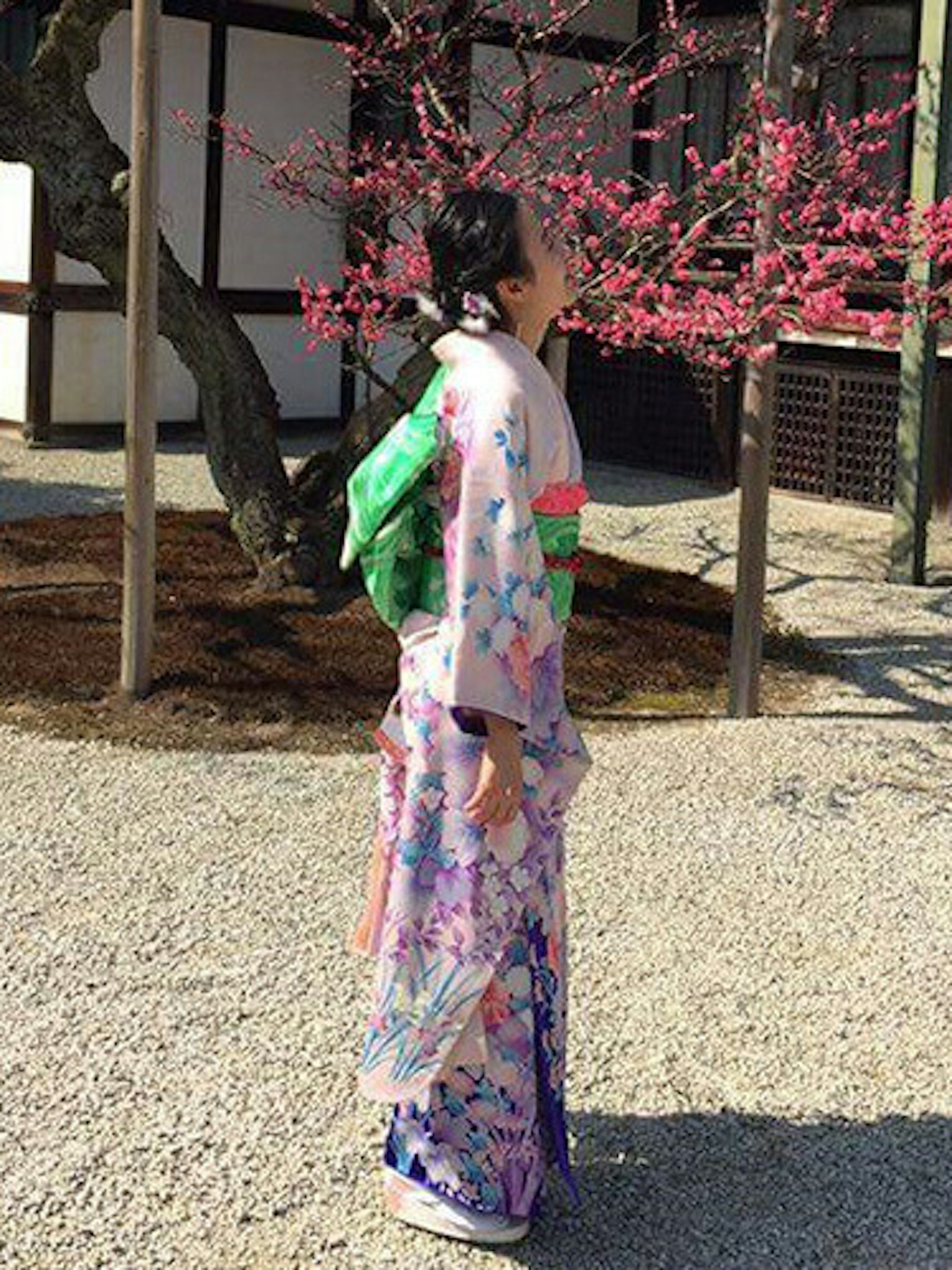 美しい振袖姿で春の庭園を楽しむ女性