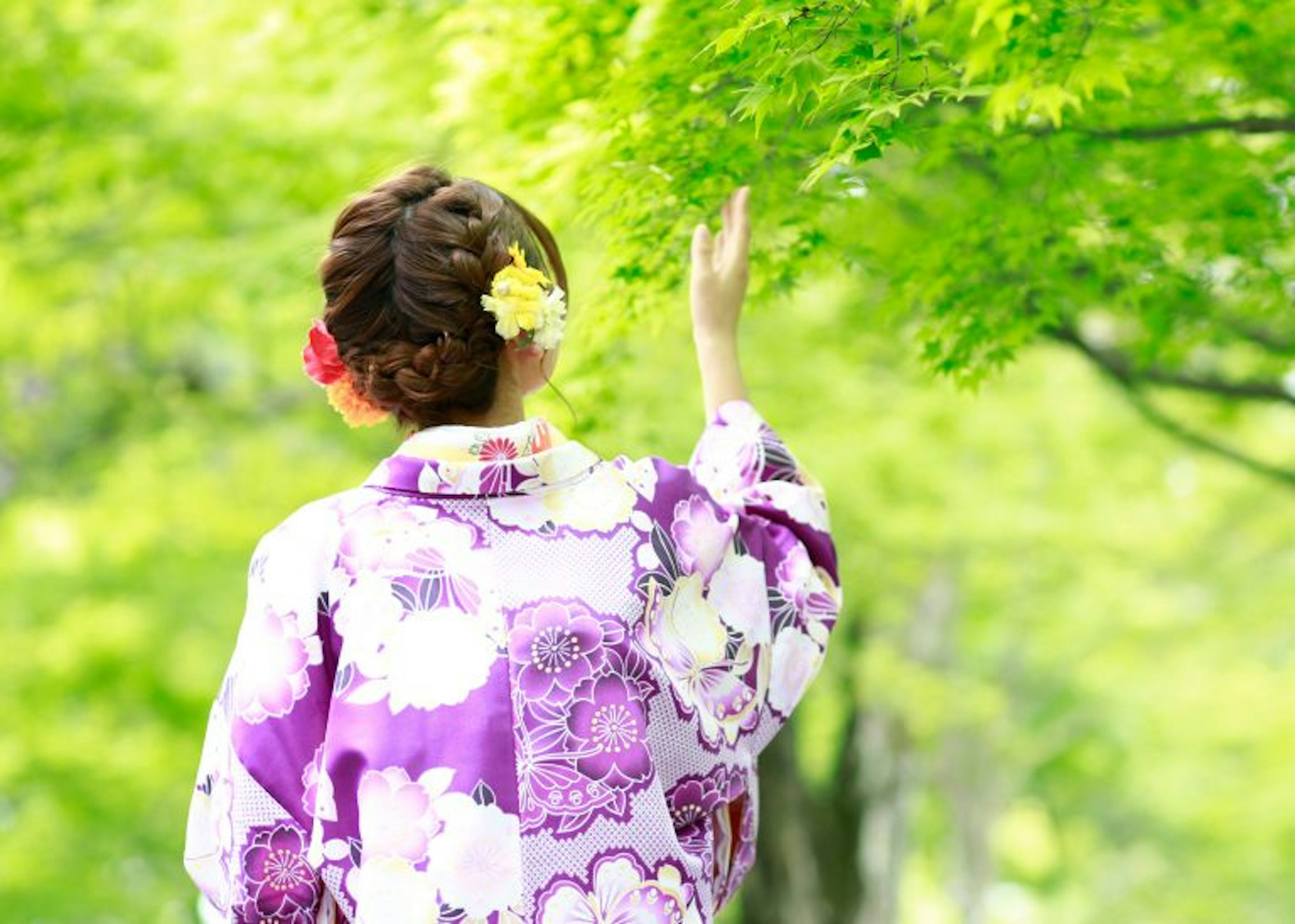 美しい着物姿で自然を楽しむ女性の後ろ姿