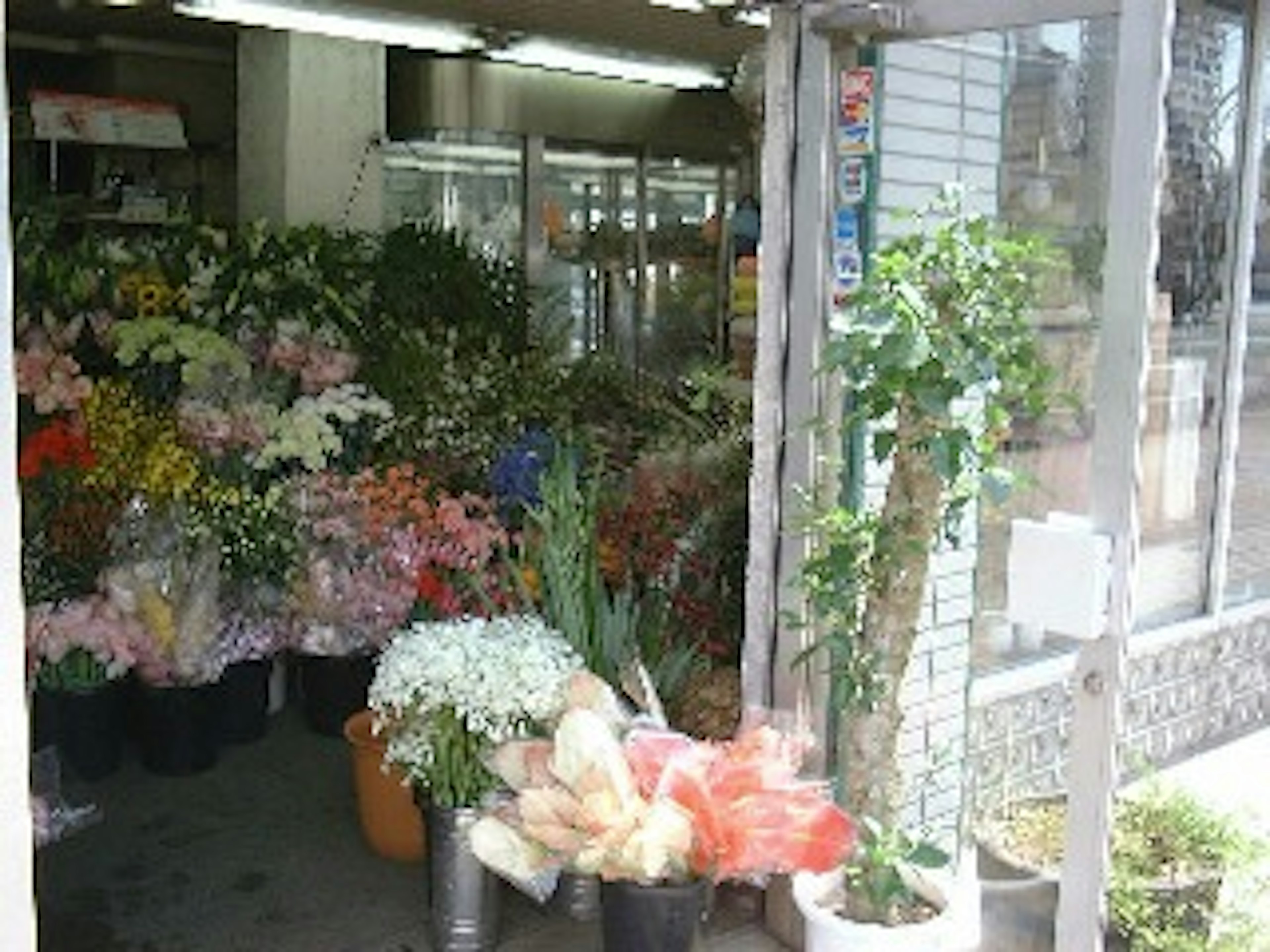 色とりどりの花が揃う、心温まる街の花屋