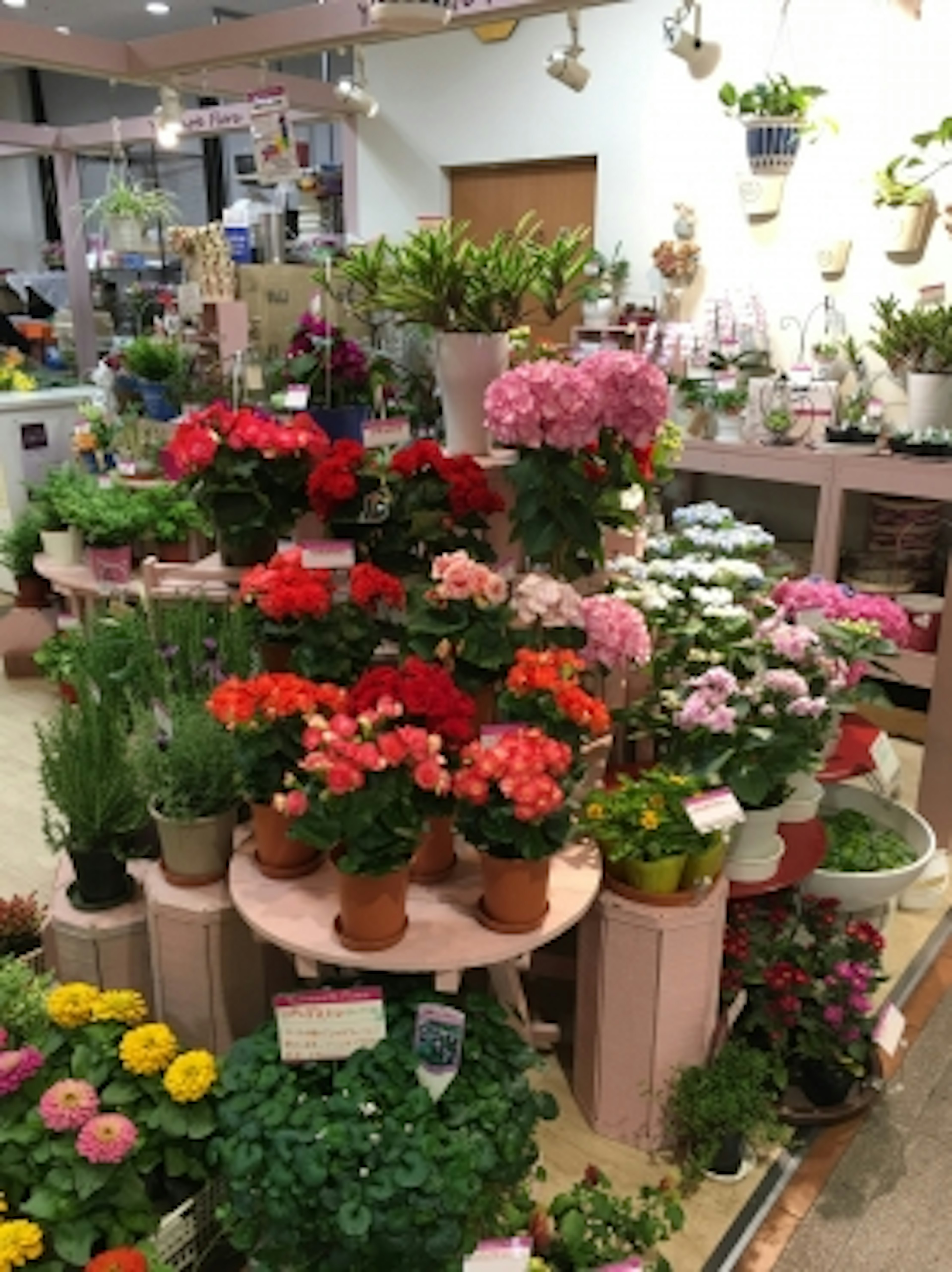 色とりどりの花が並ぶ、癒しの空間が広がる花屋