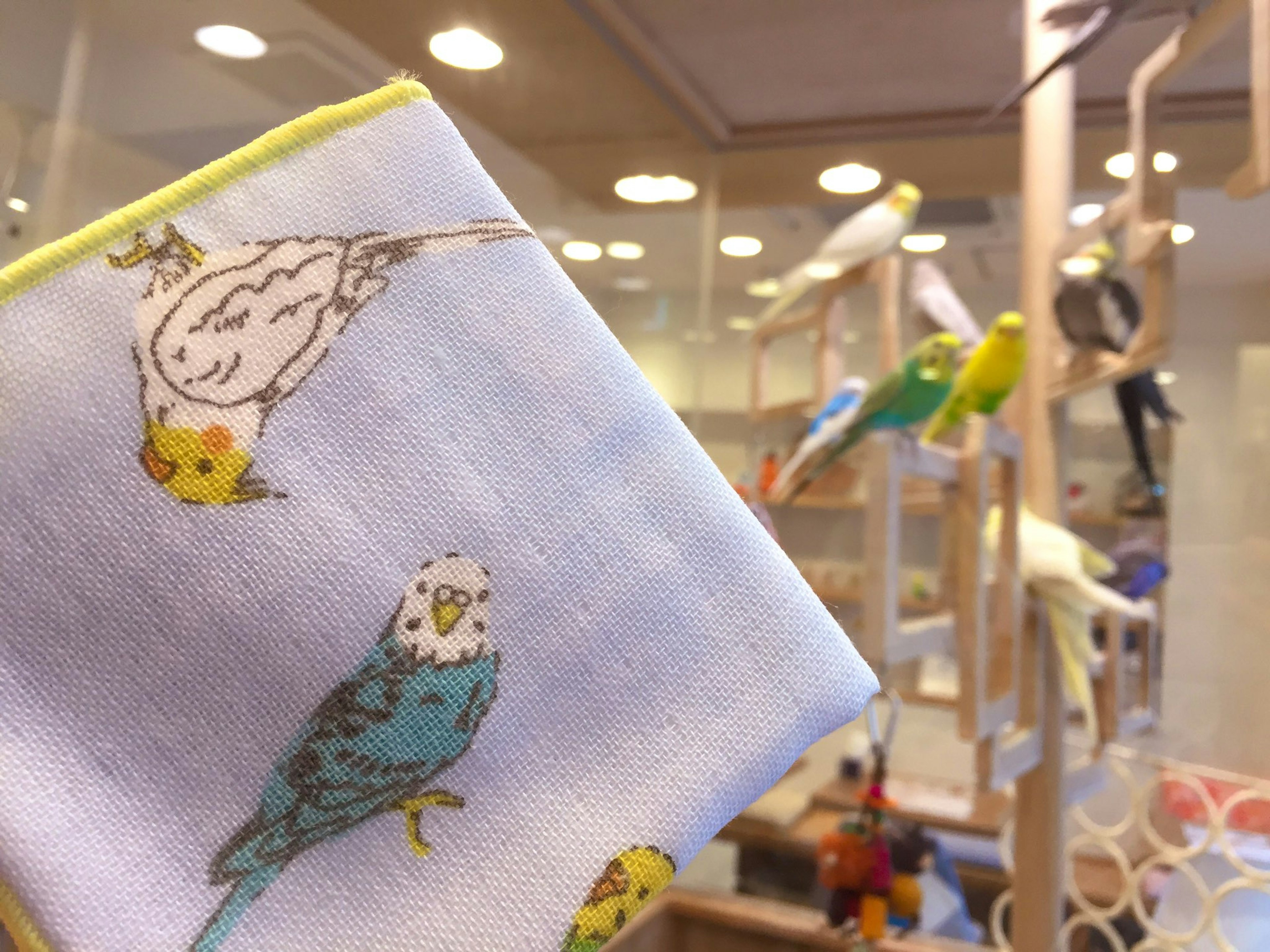 カラフルなインコたちが迎える癒しのペットショップ